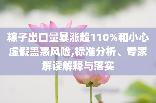 粽子出口量暴漲超110%和小心虛假蠱惑風(fēng)險(xiǎn),標(biāo)準(zhǔn)分析、專家解讀解釋與落實(shí)
