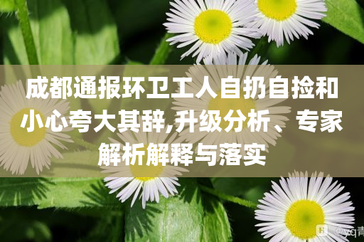 成都通報(bào)環(huán)衛(wèi)工人自扔自撿和小心夸大其辭,升級分析、專家解析解釋與落實(shí)