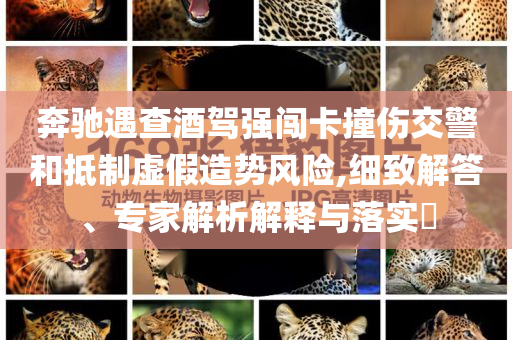 奔馳遇查酒駕強(qiáng)闖卡撞傷交警和抵制虛假造勢(shì)風(fēng)險(xiǎn),細(xì)致解答、專家解析解釋與落實(shí)?