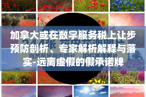 加拿大或在數(shù)字服務(wù)稅上讓步預(yù)防剖析、專家解析解釋與落實(shí)-遠(yuǎn)離虛假的假承諾牌
