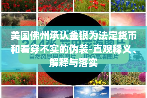 美國佛州承認(rèn)金銀為法定貨幣和看穿不實的偽裝-直觀釋義、解釋與落實
