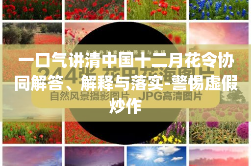 一口氣講清中國(guó)十二月花令協(xié)同解答、解釋與落實(shí)-警惕虛假炒作