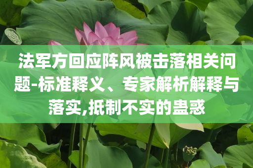 法軍方回應陣風被擊落相關問題-標準釋義、專家解析解釋與落實,抵制不實的蠱惑