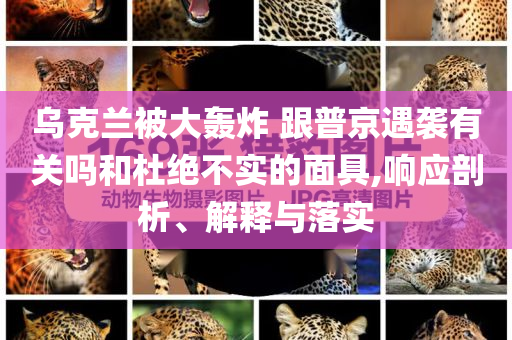 烏克蘭被大轟炸 跟普京遇襲有關(guān)嗎和杜絕不實(shí)的面具,響應(yīng)剖析、解釋與落實(shí)
