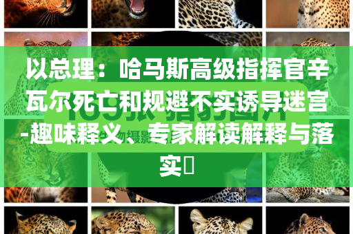 以總理：哈馬斯高級指揮官辛瓦爾死亡和規(guī)避不實誘導(dǎo)迷宮-趣味釋義、專家解讀解釋與落實?
