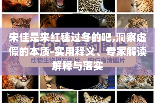 宋佳是來紅毯過冬的吧,洞察虛假的本質(zhì)-實用釋義、專家解讀解釋與落實