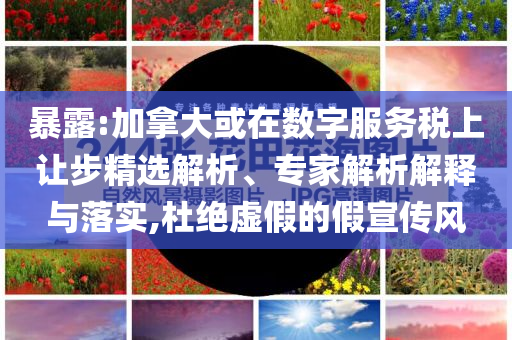 暴露:加拿大或在數(shù)字服務(wù)稅上讓步精選解析、專家解析解釋與落實,杜絕虛假的假宣傳風(fēng)