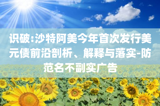 識破:沙特阿美今年首次發(fā)行美元債前沿剖析、解釋與落實-防范名不副實廣告