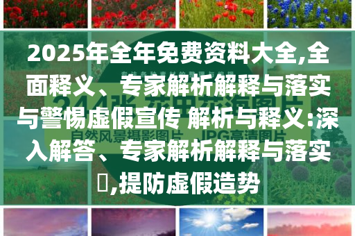 2025年全年免費(fèi)資料大全,全面釋義、專(zhuān)家解析解釋與落實(shí)與警惕虛假宣傳 解析與釋義:深入解答、專(zhuān)家解析解釋與落實(shí)?,提防虛假造勢(shì)