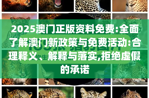 2025澳門(mén)正版資料免費(fèi):全面了解澳門(mén)新政策與免費(fèi)活動(dòng):合理釋義、解釋與落實(shí),拒絕虛假的承諾