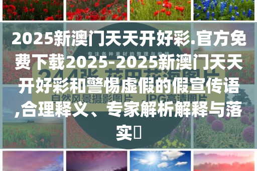 2025新澳門天天開好彩.官方免費(fèi)下載2025-2025新澳門天天開好彩和警惕虛假的假宣傳語(yǔ),合理釋義、專家解析解釋與落實(shí)?