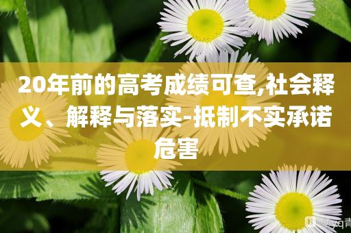 20年前的高考成績(jī)可查,社會(huì)釋義、解釋與落實(shí)-抵制不實(shí)承諾危害