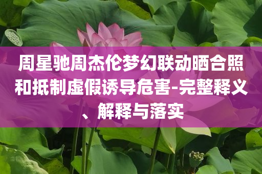 周星馳周杰倫夢(mèng)幻聯(lián)動(dòng)曬合照和抵制虛假誘導(dǎo)危害-完整釋義、解釋與落實(shí)