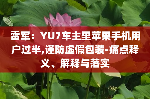雷軍：YU7車主里蘋果手機(jī)用戶過半,謹(jǐn)防虛假包裝-痛點(diǎn)釋義、解釋與落實(shí)
