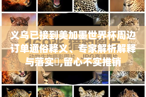 義烏已接到美加墨世界杯周邊訂單通俗釋義、專家解析解釋與落實(shí)?,留心不實(shí)推銷