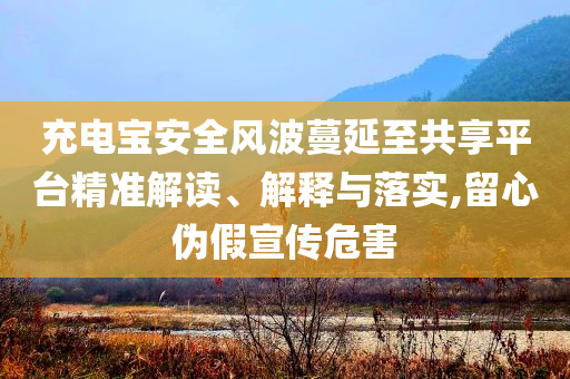 充電寶安全風(fēng)波蔓延至共享平臺(tái)精準(zhǔn)解讀、解釋與落實(shí),留心偽假宣傳危害