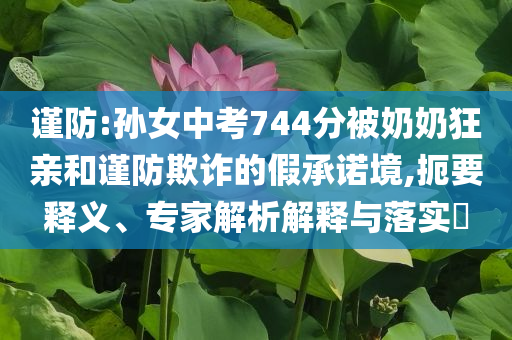 謹(jǐn)防:孫女中考744分被奶奶狂親和謹(jǐn)防欺詐的假承諾境,扼要釋義、專家解析解釋與落實?