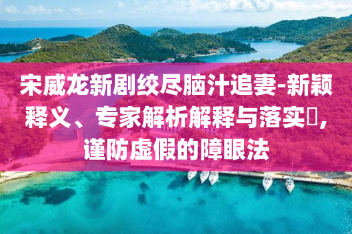 宋威龍新劇絞盡腦汁追妻-新穎釋義、專(zhuān)家解析解釋與落實(shí)?,謹(jǐn)防虛假的障眼法