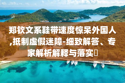 鄭欽文系鞋帶速度驚呆外國(guó)人,抵制虛假迷障-細(xì)致解答、專家解析解釋與落實(shí)?