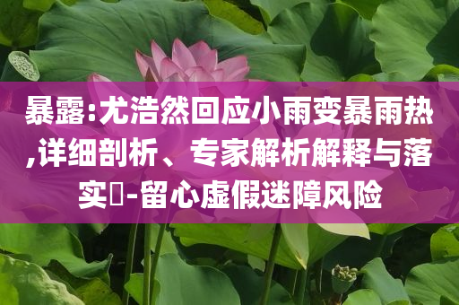 暴露:尤浩然回應(yīng)小雨變暴雨熱,詳細(xì)剖析、專家解析解釋與落實?-留心虛假迷障風(fēng)險