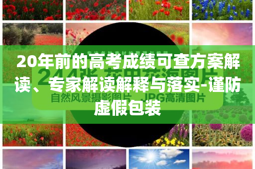 20年前的高考成績可查方案解讀、專家解讀解釋與落實(shí)-謹(jǐn)防虛假包裝