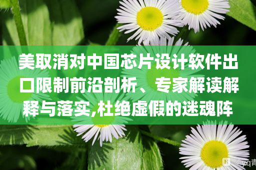 美取消對中國芯片設計軟件出口限制前沿剖析、專家解讀解釋與落實,杜絕虛假的迷魂陣