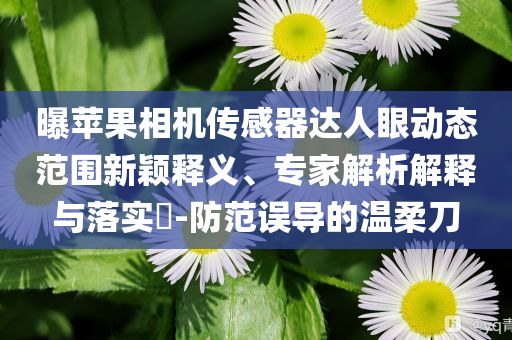 曝蘋果相機傳感器達人眼動態(tài)范圍新穎釋義、專家解析解釋與落實?-防范誤導的溫柔刀