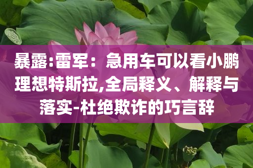 暴露:雷軍：急用車可以看小鵬理想特斯拉,全局釋義、解釋與落實-杜絕欺詐的巧言辭