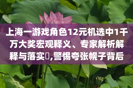 上海一游戲角色12元機(jī)選中1千萬(wàn)大獎(jiǎng)宏觀釋義、專家解析解釋與落實(shí)?,警惕夸張幌子背后