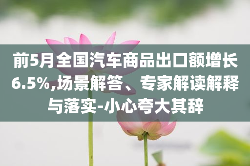 前5月全國汽車商品出口額增長6.5%,場景解答、專家解讀解釋與落實(shí)-小心夸大其辭