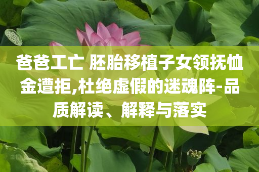 爸爸工亡 胚胎移植子女領(lǐng)撫恤金遭拒,杜絕虛假的迷魂陣-品質(zhì)解讀、解釋與落實(shí)