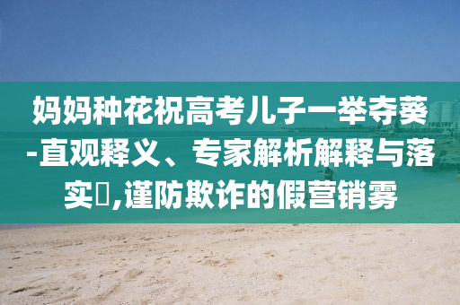 媽媽種花祝高考兒子一舉奪葵-直觀釋義、專家解析解釋與落實?,謹防欺詐的假營銷霧