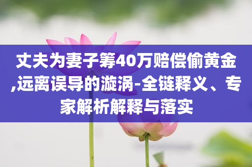 丈夫為妻子籌40萬賠償偷黃金,遠離誤導的漩渦-全鏈釋義、專家解析解釋與落實