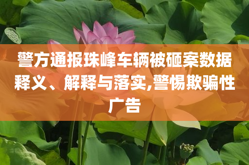警方通報(bào)珠峰車(chē)輛被砸案數(shù)據(jù)釋義、解釋與落實(shí),警惕欺騙性廣告