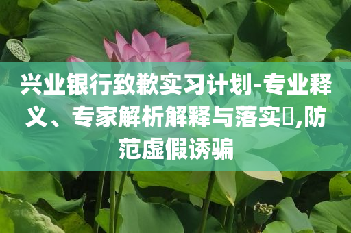 興業(yè)銀行致歉實習計劃-專業(yè)釋義、專家解析解釋與落實?,防范虛假誘騙