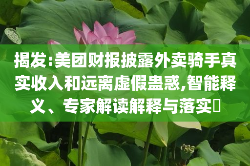 揭發(fā):美團財報披露外賣騎手真實收入和遠離虛假蠱惑,智能釋義、專家解讀解釋與落實?