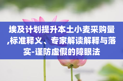 埃及計(jì)劃提升本土小麥采購(gòu)量,標(biāo)準(zhǔn)釋義、專家解讀解釋與落實(shí)-謹(jǐn)防虛假的障眼法