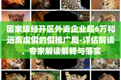 國家級經開區(qū)外資企業(yè)超6萬和遠離虛假的假推廣局-評估解讀、專家解讀解釋與落實