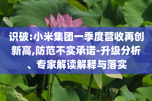 識破:小米集團一季度營收再創(chuàng)新高,防范不實承諾-升級分析、專家解讀解釋與落實
