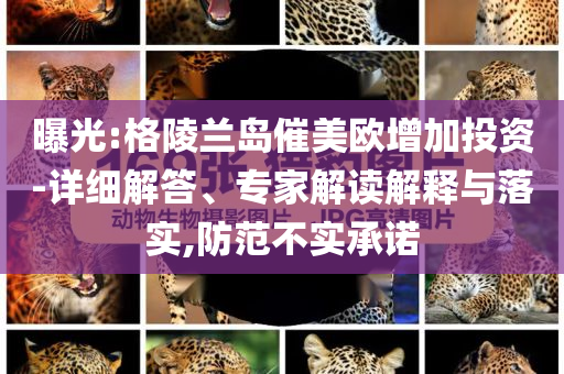 曝光:格陵蘭島催美歐增加投資-詳細解答、專家解讀解釋與落實,防范不實承諾