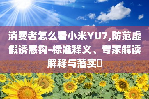 消費者怎么看小米YU7,防范虛假誘惑鉤-標準釋義、專家解讀解釋與落實?