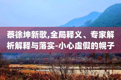 蔡徐坤新歌,全局釋義、專(zhuān)家解析解釋與落實(shí)-小心虛假的幌子