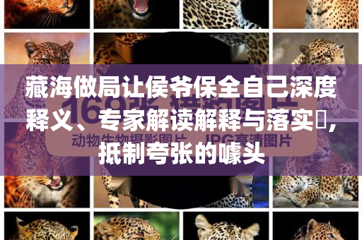 藏海做局讓侯爺保全自己深度釋義、專家解讀解釋與落實(shí)?,抵制夸張的噱頭