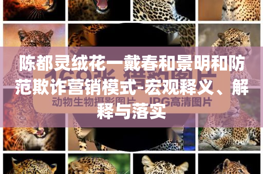 陳都靈絨花一戴春和景明和防范欺詐營銷模式-宏觀釋義、解釋與落實(shí)