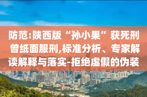 防范:陜西版“孫小果”獲死刑 曾紙面服刑,標準分析、專家解讀解釋與落實-拒絕虛假的偽裝