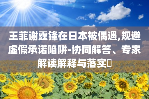 王菲謝霆鋒在日本被偶遇,規(guī)避虛假承諾陷阱-協(xié)同解答、專家解讀解釋與落實?