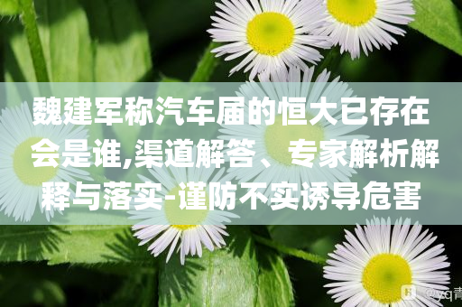 魏建軍稱汽車屆的恒大已存在 會是誰,渠道解答、專家解析解釋與落實-謹防不實誘導(dǎo)危害