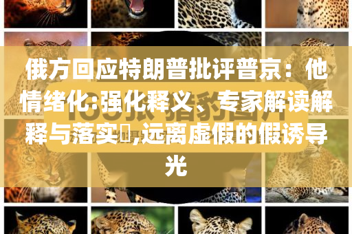 俄方回應(yīng)特朗普批評(píng)普京：他情緒化:強(qiáng)化釋義、專家解讀解釋與落實(shí)?,遠(yuǎn)離虛假的假誘導(dǎo)光