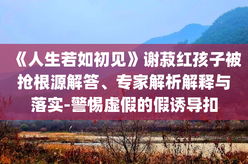 《人生若如初見》謝菽紅孩子被搶根源解答、專家解析解釋與落實-警惕虛假的假誘導扣
