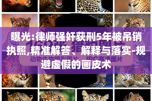 曝光:律師強(qiáng)奸獲刑5年被吊銷執(zhí)照,精準(zhǔn)解答、解釋與落實(shí)-規(guī)避虛假的畫(huà)皮術(shù)